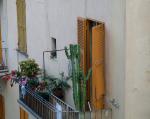 clic per ingrandire